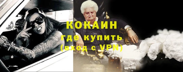 прущие грибы Арсеньев