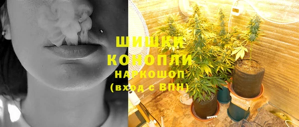 прущие грибы Арсеньев